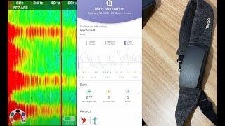 Thoughts on the Muse S Headband, EEG analysis