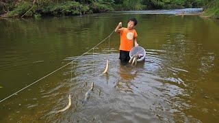 ancient fishing trap setting skills, Highland boy fish life Harvest 12 kg of stream fish for sale