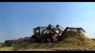 Kukurydza na Kiszonkę 2015 ᴴᴰ Fendt, Massey Ferguson, Case, 2x Renault, Claas