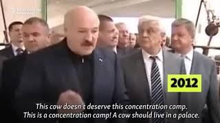 'This Is Auschwitz!' Belarusian President Compares Cattle Farm To Concentration Camp