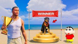 Shinchan & Franklin and Chop Winning Dog Show in Gta 5