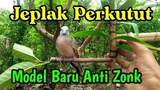 jeplak perkutut model baru