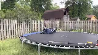 LAWN TRANSFORMATION