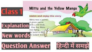 class 1 ( Mittu and the yellow mango) with question Answer हिन्दी में समझे