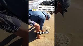 Scary Sand Fleas 