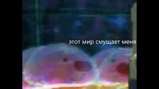 slime rancher при минимальных настройках графики