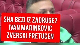 ZVERSKI PRETUCEN IVAN MARINKOVIC - SHA BEZI IZ ZADRUGE?