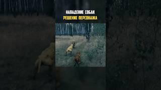 ⭐️ Нападение СЛЕПЫХ ПСОВ - РЕШЕНИЕ ПЕРСОНАЖА - Логика Сталкера | #сталкер #видеоигры