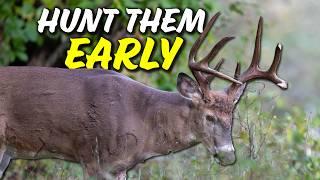 Stop skipping morning hunts in EARLY SEASON! A guide to buck hunting early