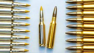 Best Long Range Calibers for 2024