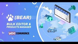 BEAR   WooCommerce Bulk Editor and Products Manager Professional   - lesson #1, Quick Start