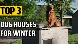 Best Dog House For Winter Top 3 picked