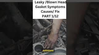 Leaky /Blown Head Gasket Symptoms Causes/ Fix PART 1/12 #carfix #automobile #diy