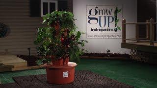 GrowUp 031813