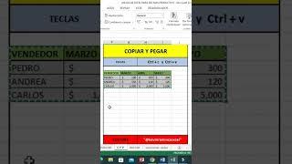 Cómo Copiar Y Pegar en Excel