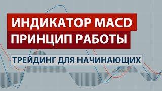 ИНДИКАТОР MACD - ПРИНЦИП РАБОТЫ / ДИВЕРГЕНЦИЯ / ТРЕЙДИНГ для НАЧИНАЮЩИХ