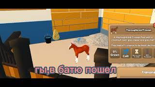 скрещиваем 9(3 раза)и смотрим что выходит)(wild horse island roblox)