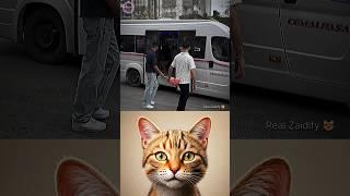 Fun  #cat #meme #dance #trending