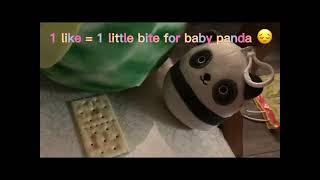 Lena thinks baby panda is too young to eat cookies 