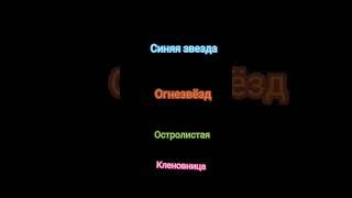 Коты-Воители || Голоса Котов-Воителей || Синяя Звезда, Огннзвёзд, Остролистая, Кленовница.