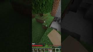 Didn't expect a lot of them to be there... #shorts #youtube #minecraft
