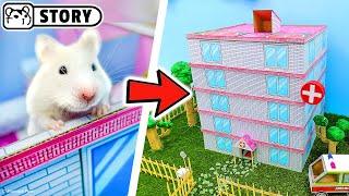 Hamster hospital maze  Adventures of granny Homura in the Hospital  Homura Ham