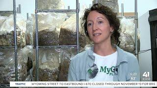 Mushroom supplier cultivates jobs in KC community