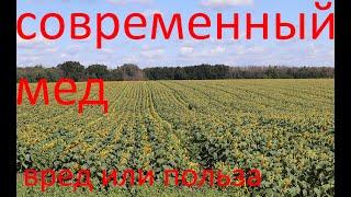 Мед и химия в пчеловодстве.Чистые продукты от фермера.