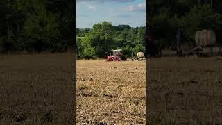 The IH 1456 planting corn with a 6 row corn planter. #redtractor #redpower #agriculture #farming
