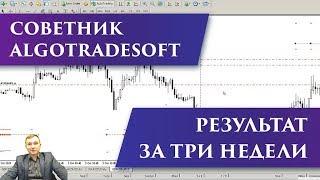 Советник AlgoTradeSoft | Стоит ли торговать на реальном счете?