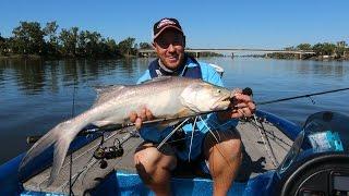 How to Catch Threadfin Salmon Hopping a Kamikaze Stickbait