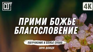 Прими Божье благословение | Звуки природы | Молитва | Relaxing | 64 Библейских стиха о благословении