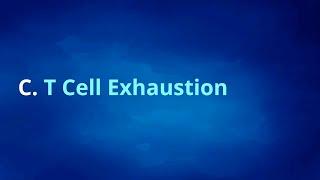 Cancer Immunotherapy DS Challenge - Lecture 1, Part  C - Biology - T Cell Exhaustion