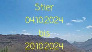 Stier Tarot 04.10.2024 bis 20.10.2024