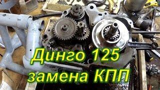 Динго 125  замена коробки