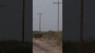 1.3 Acres in Deming, NM on an oversized lot! #deming #newmexico #prettysunset