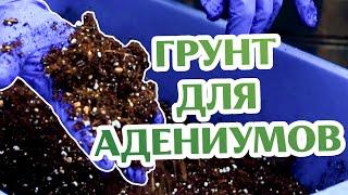 Лучший Грунт Для Адениумов...