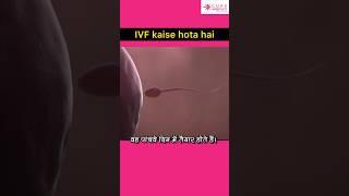 IVF kaise hota hai | IVF Kya hota hai | in vitro fertilization | infertility treatment |#ivf #Shorts