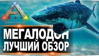 Мегалодон (Megalodon) в АРК. Лучший обзор: приручение, разведение и способности  в ark.