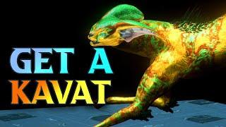 How To Get A Kavat In WARFRAME - Kavat Genetic Code Farm 2024 Guide #tennocreate