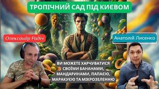 Тропічний сад під Києвом - як створити диво - свої лимони, папаї, маракуї🫐. Наш гість зміг!