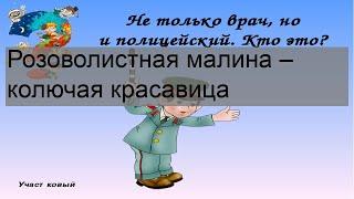 Именины имени 8 сентября: у мужчин, женщин, мальчиков и девочек по православному календарю