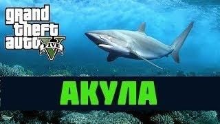 GTA 5 Пасхалки #26 Акула