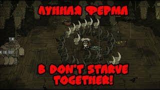 Создание Лунной Фермы в Don't Starve Together!