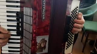 Papito-akordeon-akordion-accordion