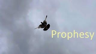 Prophesy