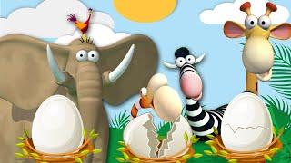Gazoon | The Egg Shaped | Funny Animal Cartoon For Kids