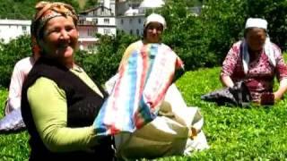 Turkish Philanthropy Funds