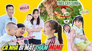 Ms. Ha Hi, Mint Vy Visit MiMi, Mother Hue, Father Hoang : Family climbs trees for fig treats.