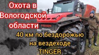 Охота в Вологодской области. 40 км по бездорожью на вездеходе TINGER